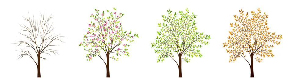 Four seasons of tree vector Stock Illustration