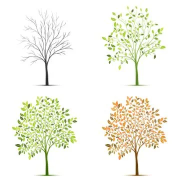 Four seasons of tree vector Stock Illustration