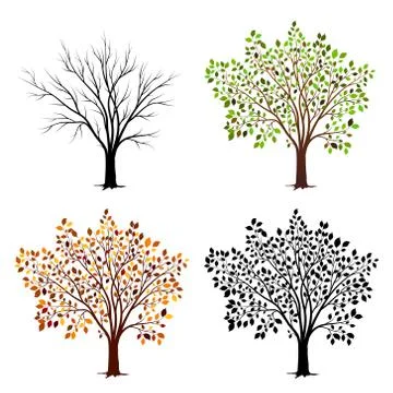 Four seasons of tree. Vector illustration Stock Illustration