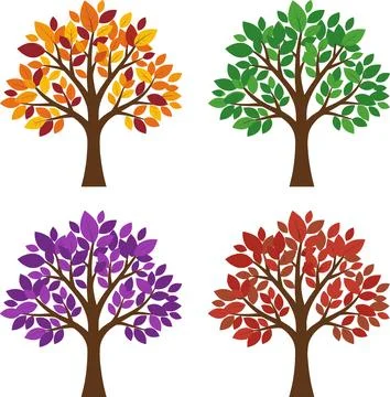 Four Seasons Trees Collection Vector Illustration. Stock Illustration