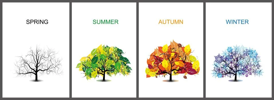 Four seasons trees Illustrazione stock