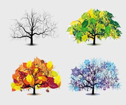 Four seasons trees Stock Illustration