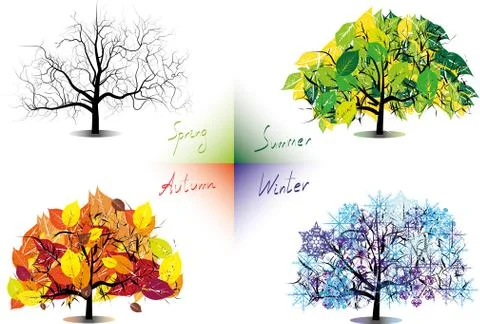 Four seasons trees Stock Illustration