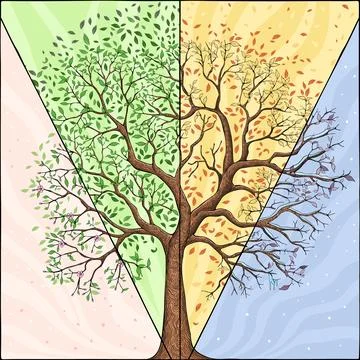 Four Seasons Trees Stock Illustration