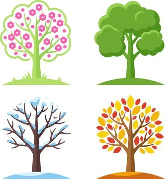 Four Seasons Trees Illustration - Spring, Summer, Autumn, Winter. Stock Illustration