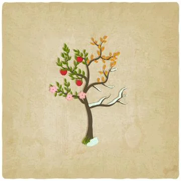 Four seasons trees old background Illustrazione stock