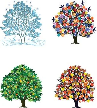 Four seasons  trees in spring, summer, autumn, winter Stock Illustration
