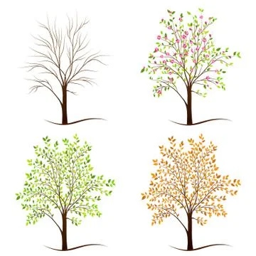 Four seasons trees vector Stock Illustration