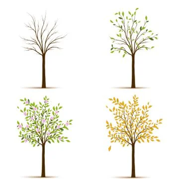 Four seasons trees vector Stock Illustration