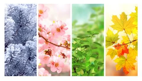 Four seasons of year. Set of vertical nature banners with winter, spring, s.. Stock Illustration
