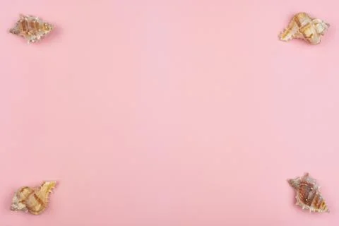 Four shells in the corners Stock Photos