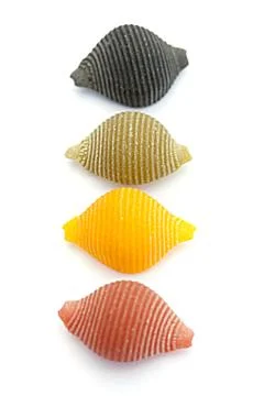 Four shells of pasta Stock Photos