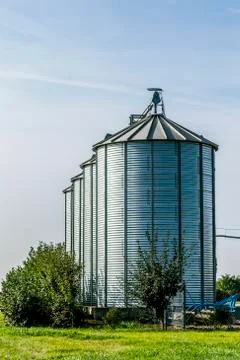 Four silver silos in field Foto stock