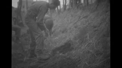 Four soldiers digging Stock Footage 36421418