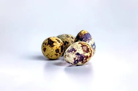 Four speckled bird eggs on a plain white surface Stock Photos