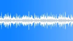 The Four Springs (cheerful loop) Stock Music