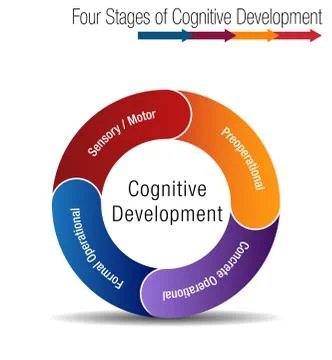 Four Stages of Cognitive Development Stock Illustration