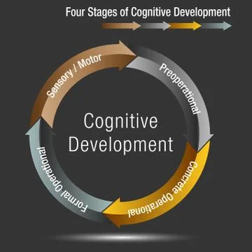 Four Stages of Cognitive Development Stock Illustration