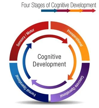 Four Stages of Cognitive Development Stock Illustration