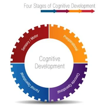 Four Stages of Cognitive Development Stock Illustration