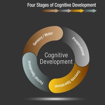 Four Stages of Cognitive Development Stock Illustration