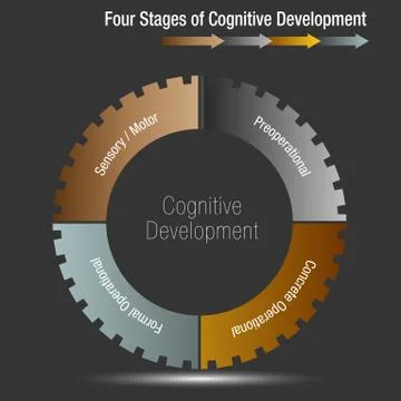 Four Stages of Cognitive Development Stock Illustration