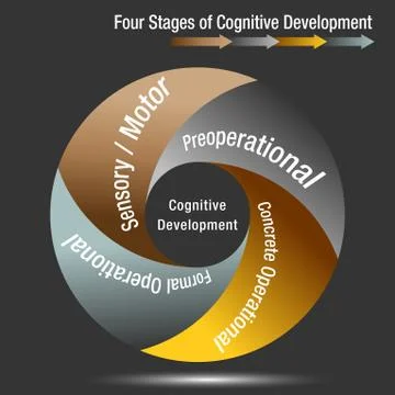 Four Stages of Cognitive Development Stock Illustration