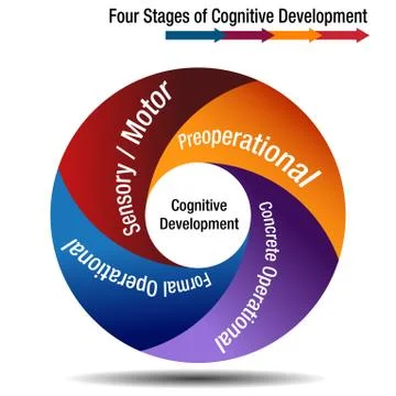 Four Stages of Cognitive Development Stock Illustration