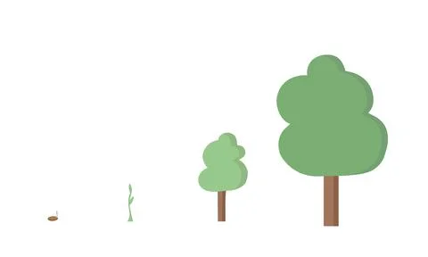 Four stages of tree growing from ceed to big tree. Greening concept. Stock Illustration