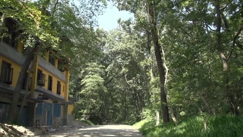 Four storey building in the woods Stock Footage 235135945