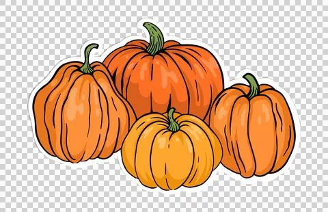 Four stylized pumpkins are floating in sticker style with white outline on Stock Illustration