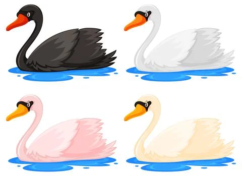 Four swans in different colours Stock Illustration