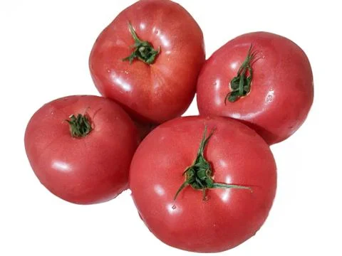 Four tomatoes isolated on white background Fotos Stock