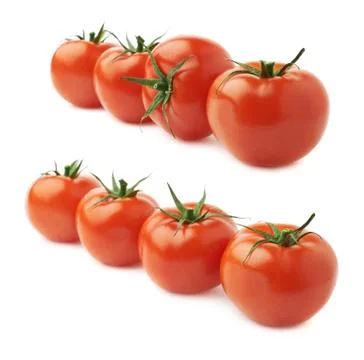 Four tomatoes in a line isolated 스톡 사진