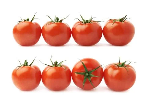 Four tomatoes in a line isolated 스톡 사진