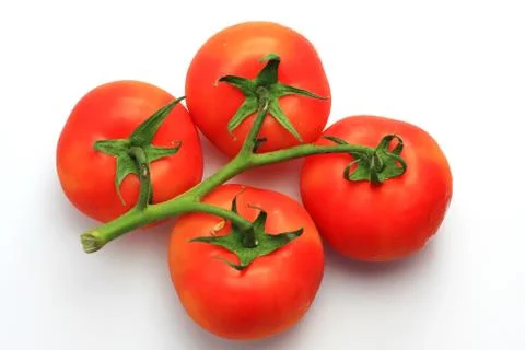 Four tomatoes Stock Photos