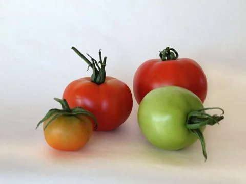 Four tomatoes Stock Photos