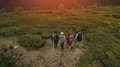 The four tourists are standing on the mountain top 4k or 4k+ Resolution