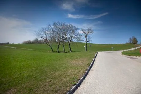 Four Trees By the Meadow Stock Photos