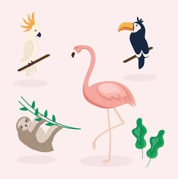 Four tropical animals 스톡 일러스트