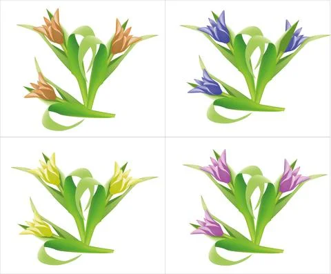 Four tulips in different colors Stock Illustration