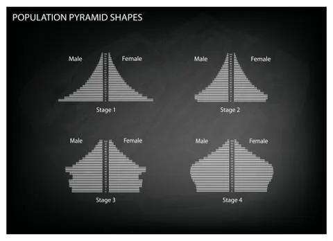 Four Types of Population Pyramids on Chalkboard Background Stock Illustration