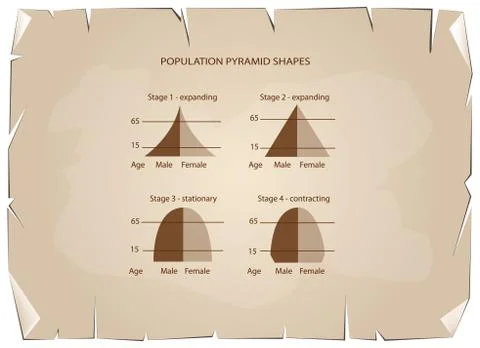 Four Types of Population Pyramids on Old Paper Background Ilustración de archivo