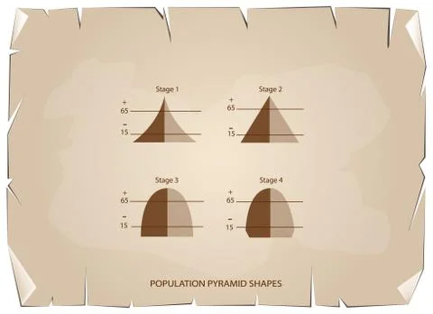 Four Types of Population Pyramids on Old Paper Background Stock Illustration