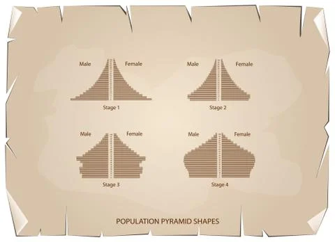 Four Types of Population Pyramids on Old Paper Background Ilustración de archivo