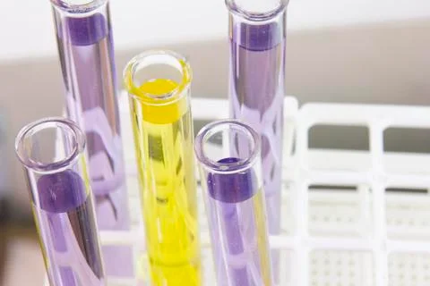 Four violet test tubes top Foto stock