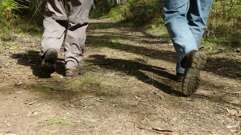 Four walkers walking down the Great South West Walk in Victoria, Australia. Stock Footage 98841243