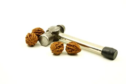 Four Walnuts and an Iron Hammer Stock Photos