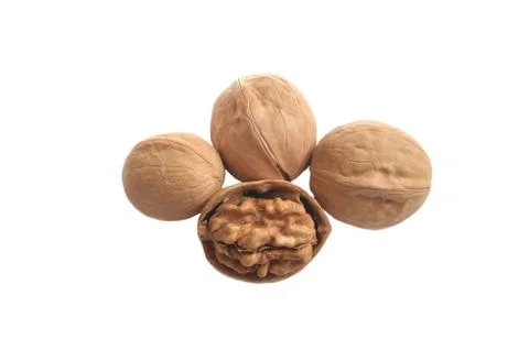 Four walnuts on white isolate background Stock Photos