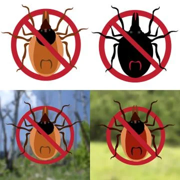 Four Warning sign. Harvest bug on a white background and on a photos . illust Stock Illustration